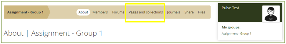 Group - Access pages and collections area.PNG